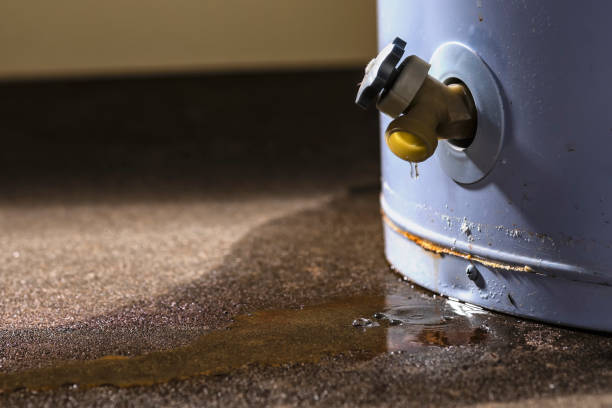 Best Sewage cleanup and water damage restoration  in Walhalla, SC