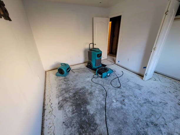 Best Mold removal after water damage  in Walhalla, SC