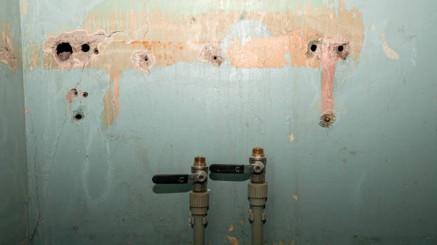 Walhalla, SC Water damage restoration Pros