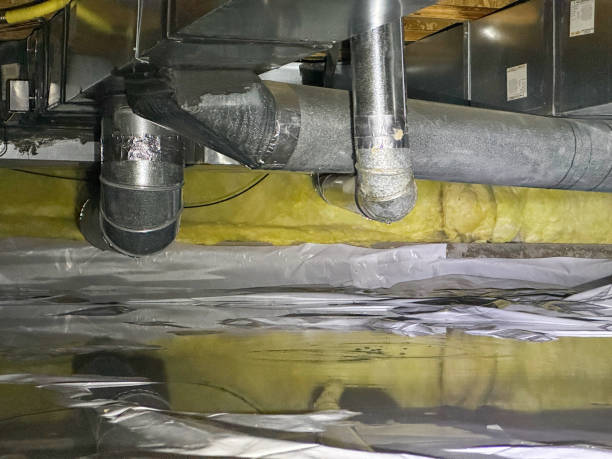 Best Flood damage cleanup  in Walhalla, SC