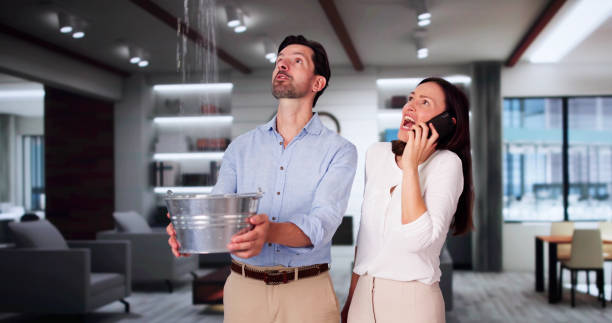 Best Carpet water damage restoration  in Walhalla, SC