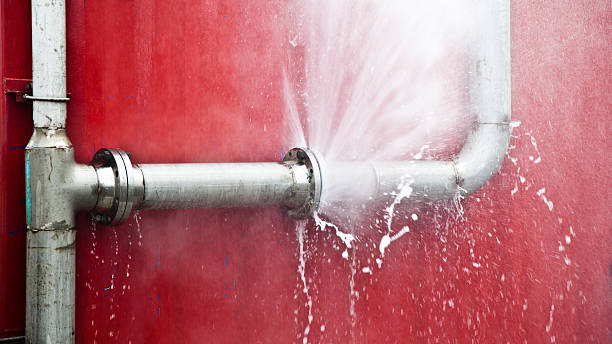 Best Commercial water damage restoration  in Walhalla, SC