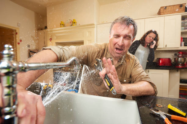 Best Basement water damage restoration  in Walhalla, SC